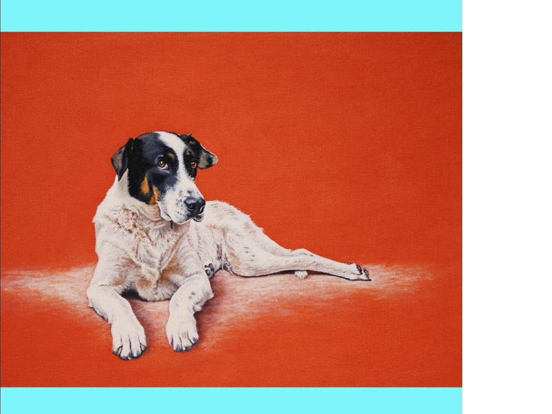 cuadros de perros - decoración - arte loft galería