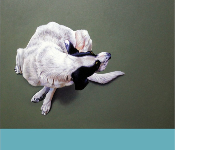 cuadros de perros - decoración - arte loft galería